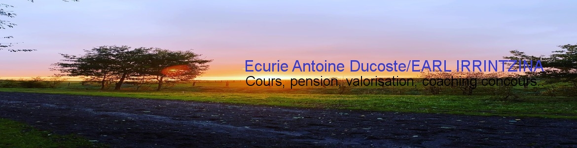 Ecurie Antoine Ducoste/EARL IRRINTZINA